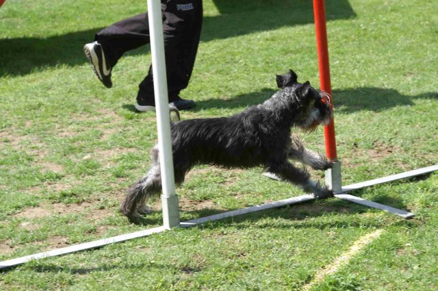 agility 2011-07-24